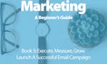 Email Marketing: A Beginner's Guide image
