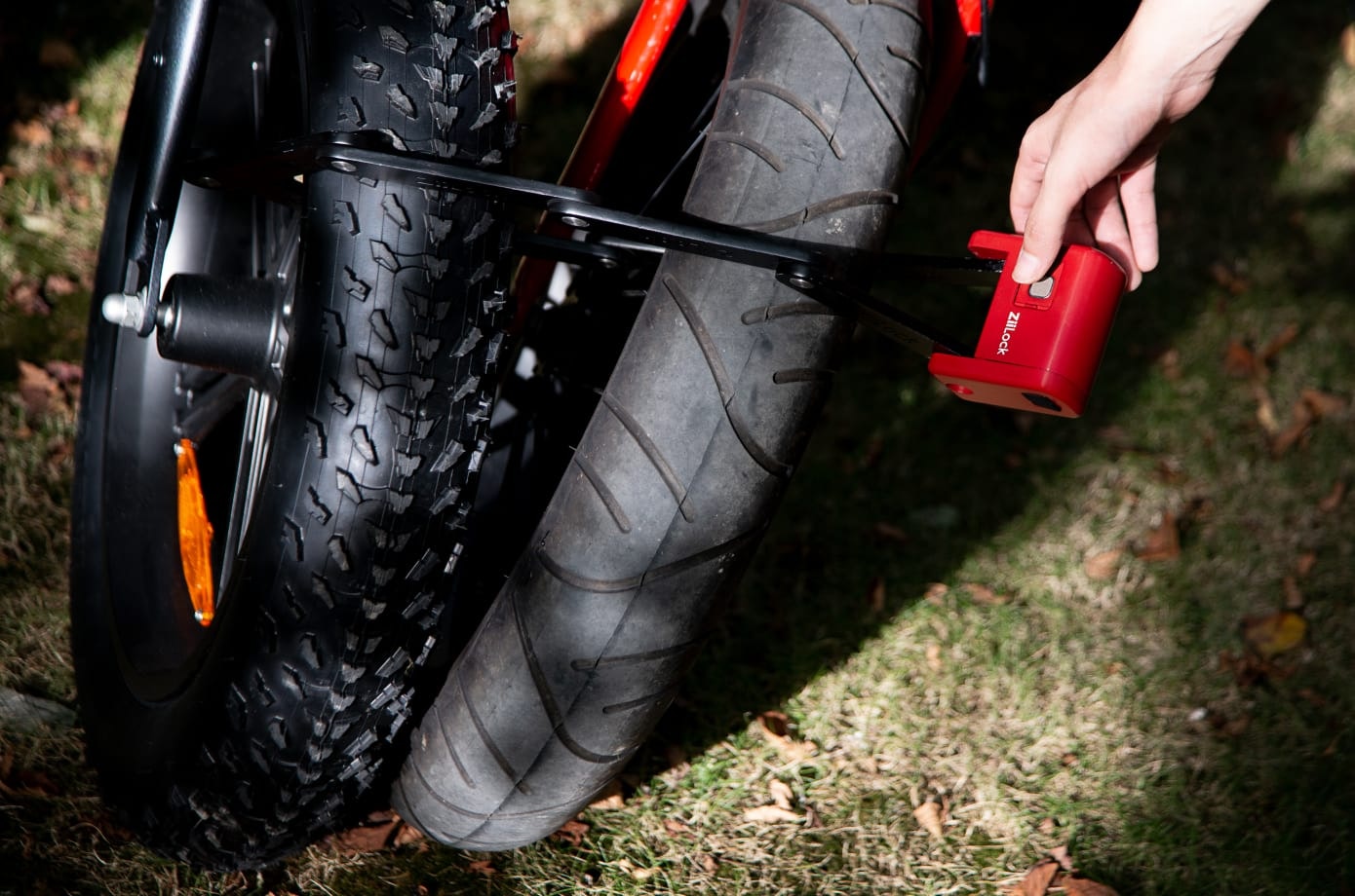 ZiiLock gallery image