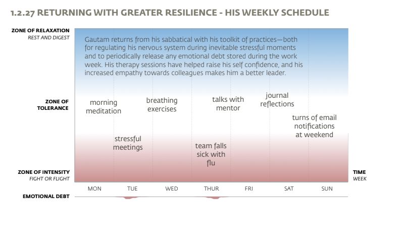 The Emotional Resilience Report gallery image