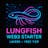 lungfish-web3-starter