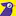 Morning Bird