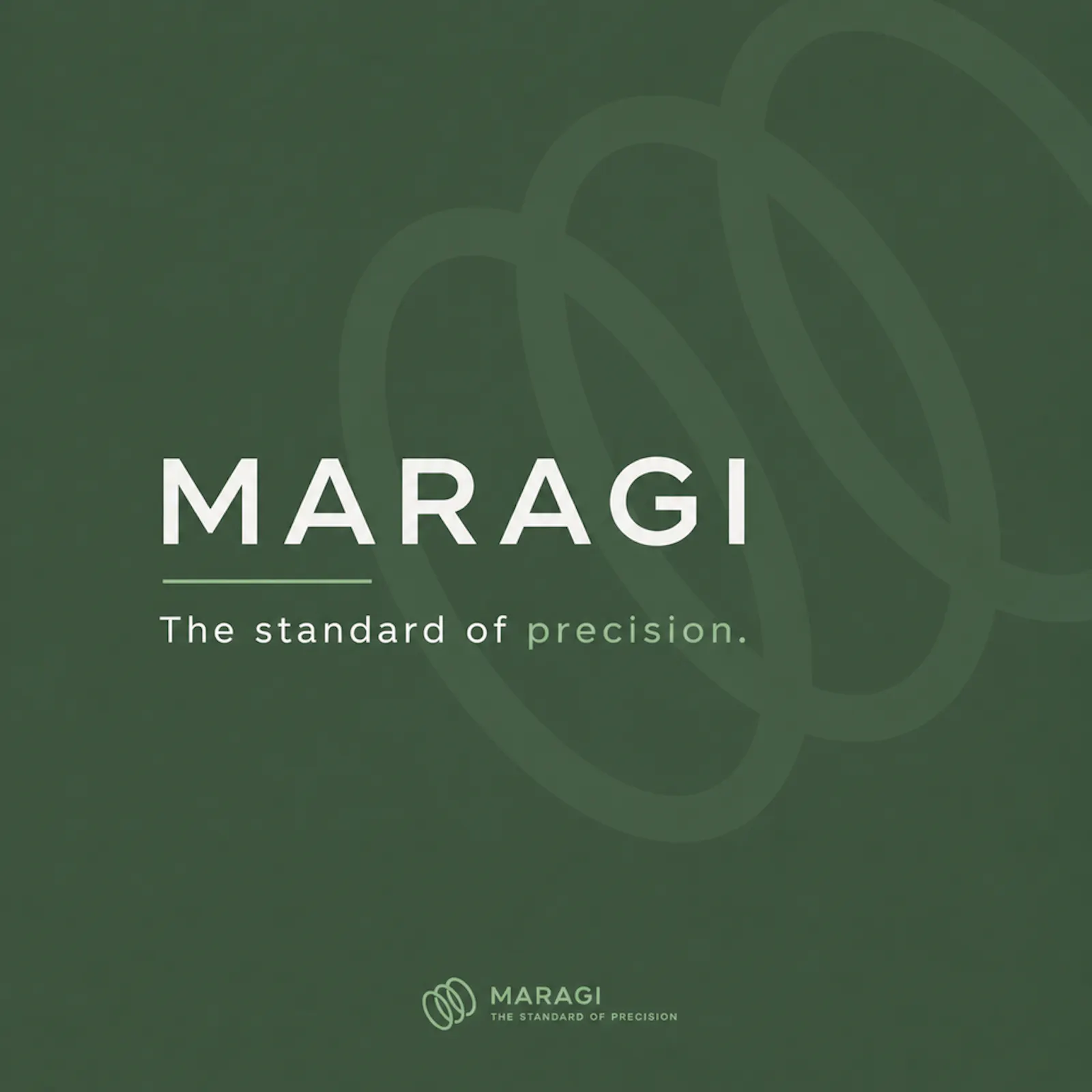 MARAGI screenshot 2