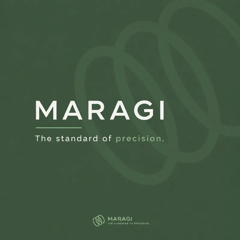 MARAGI screenshot 2