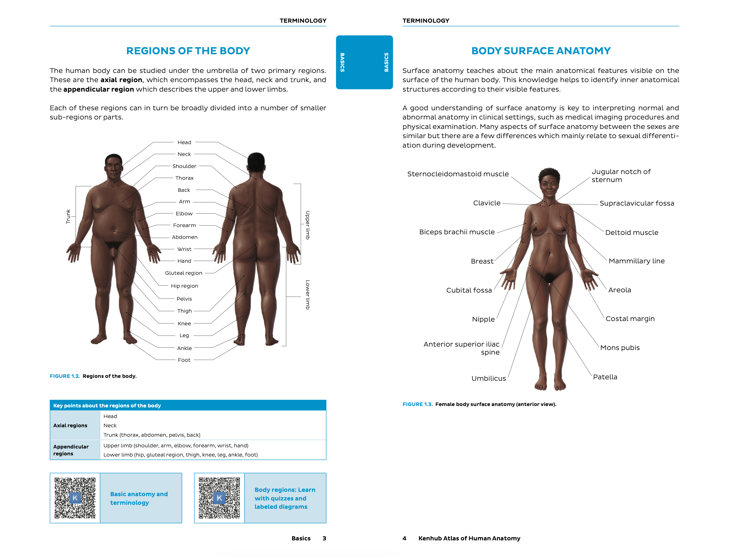 İnsan Anatomisinin Kenhub Atlası - Anatomi çalışmalarınıza hakim olmak için fiziksel arkadaşınız medya 5