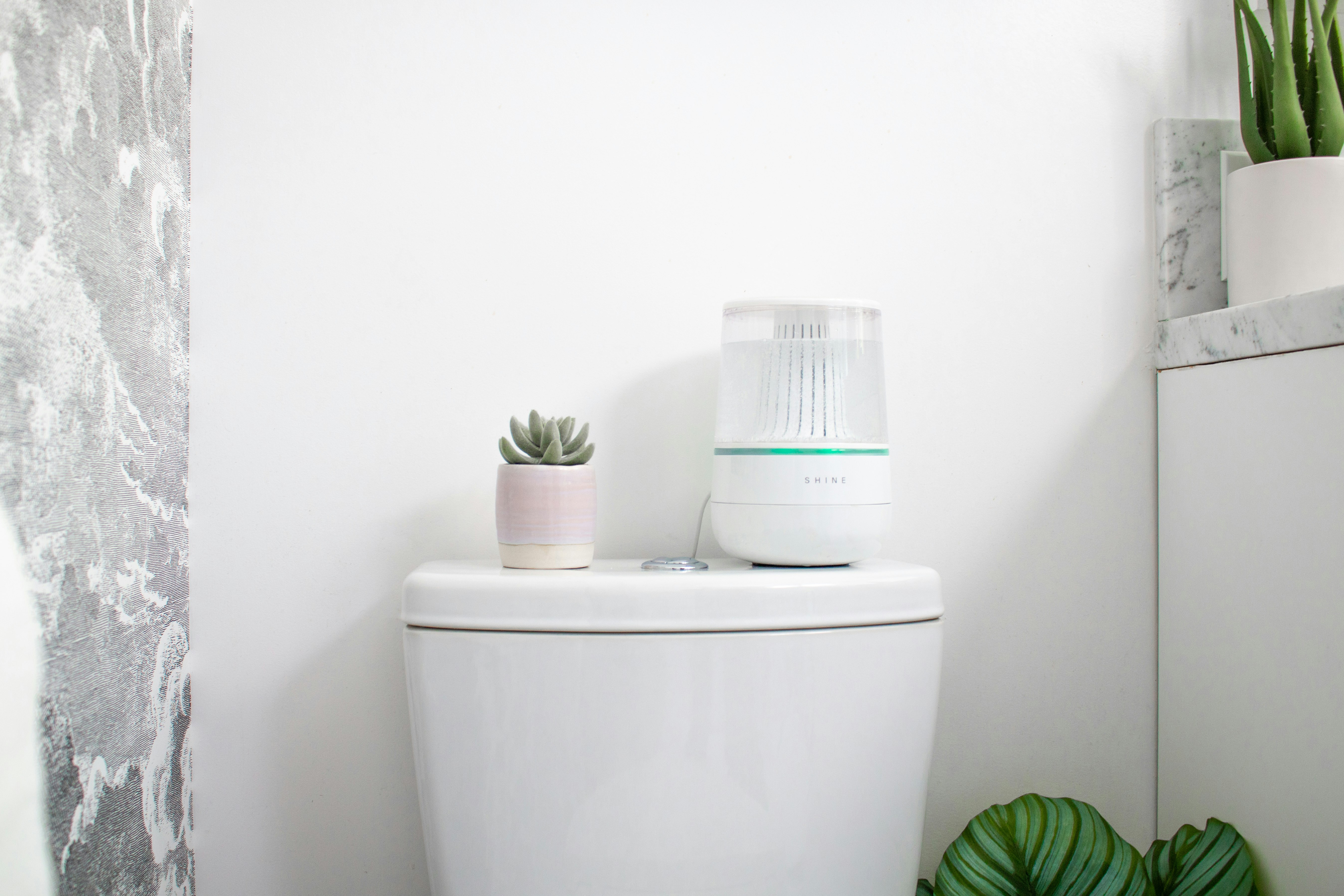 Shine Bathroom Assistant gallery image