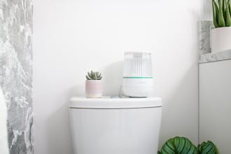 Shine Bathroom Assistant gallery image