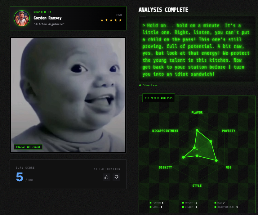 roastme-Gemini - Main product screenshot demonstrating key features and user interface