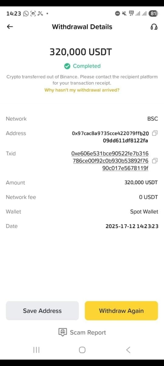 Flash USDT gallery image