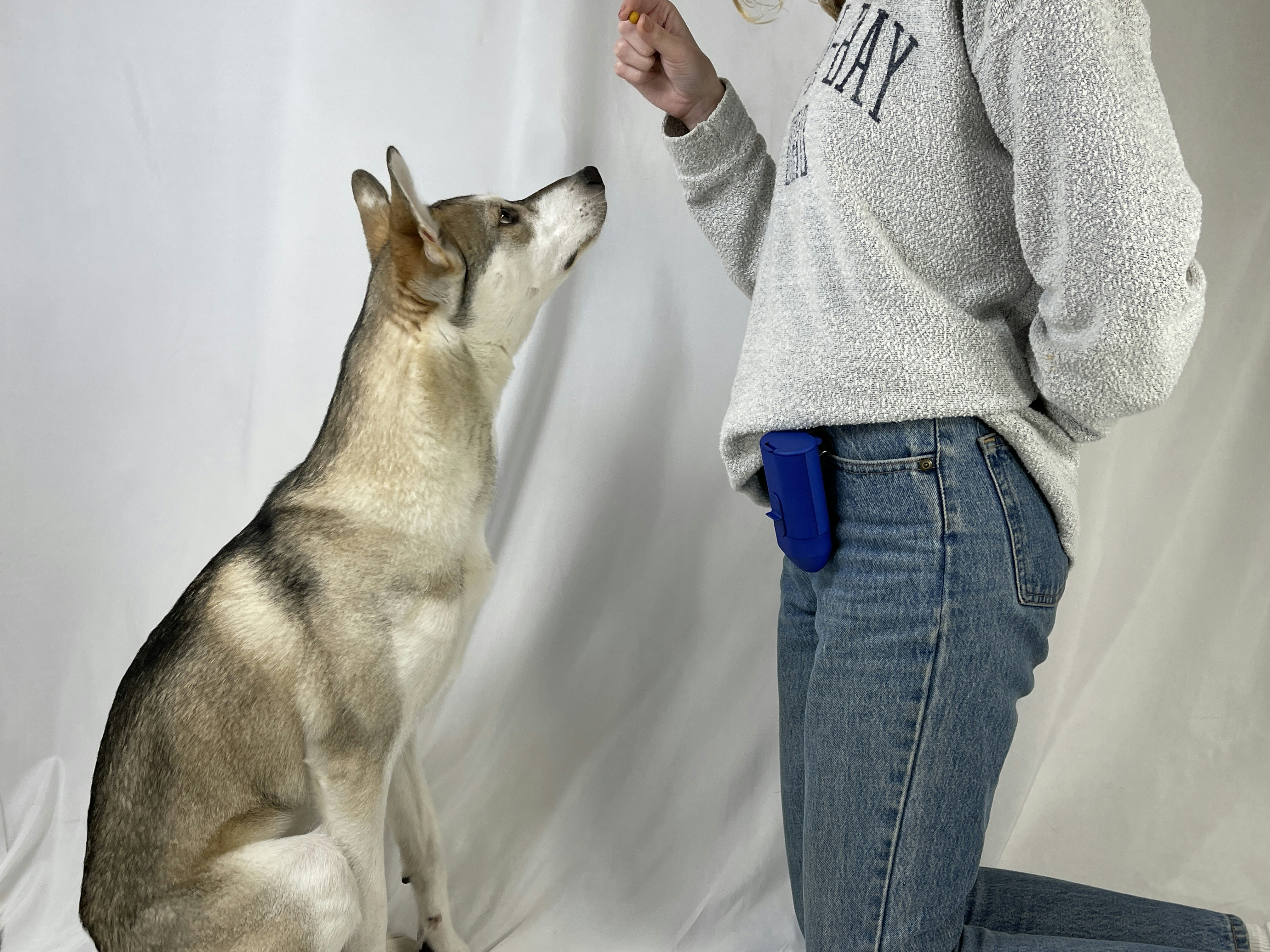 犬の治療ディスペンサー - 服従訓練のための犬を治療するディスペンサーメディア4