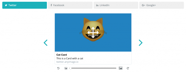 Any Image gallery image