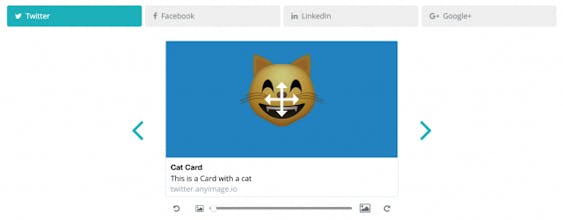 Any Image gallery image