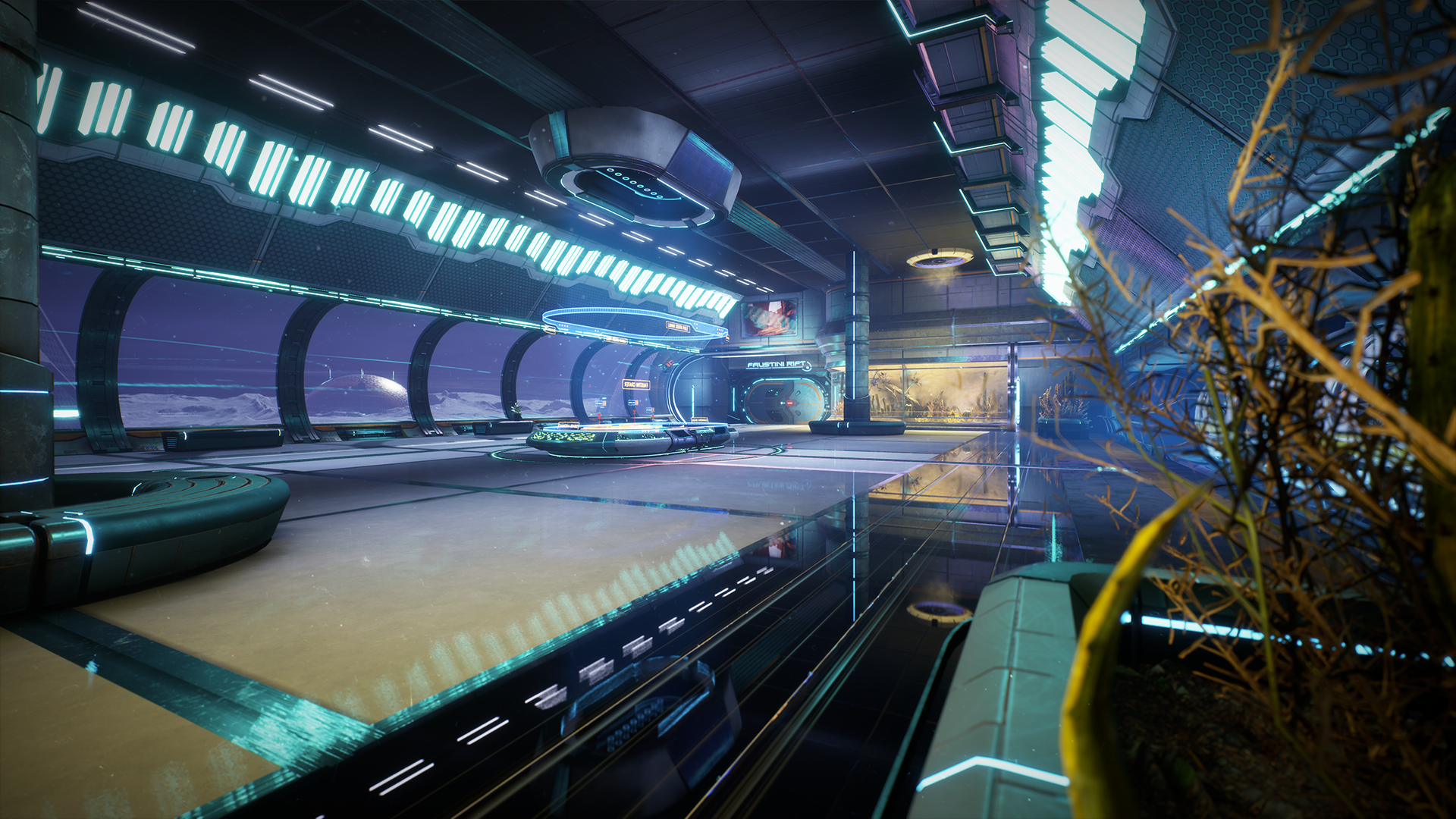 Relicta gallery image