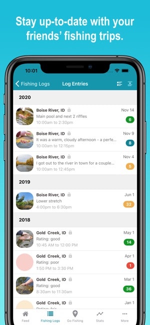 Fish Swami gallery image