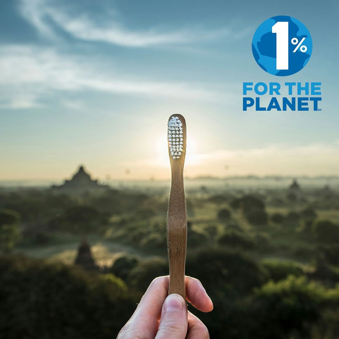 The Bamboo Brush gallery image