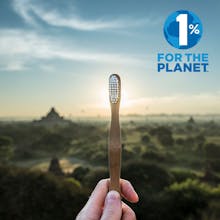 The Bamboo Brush gallery image