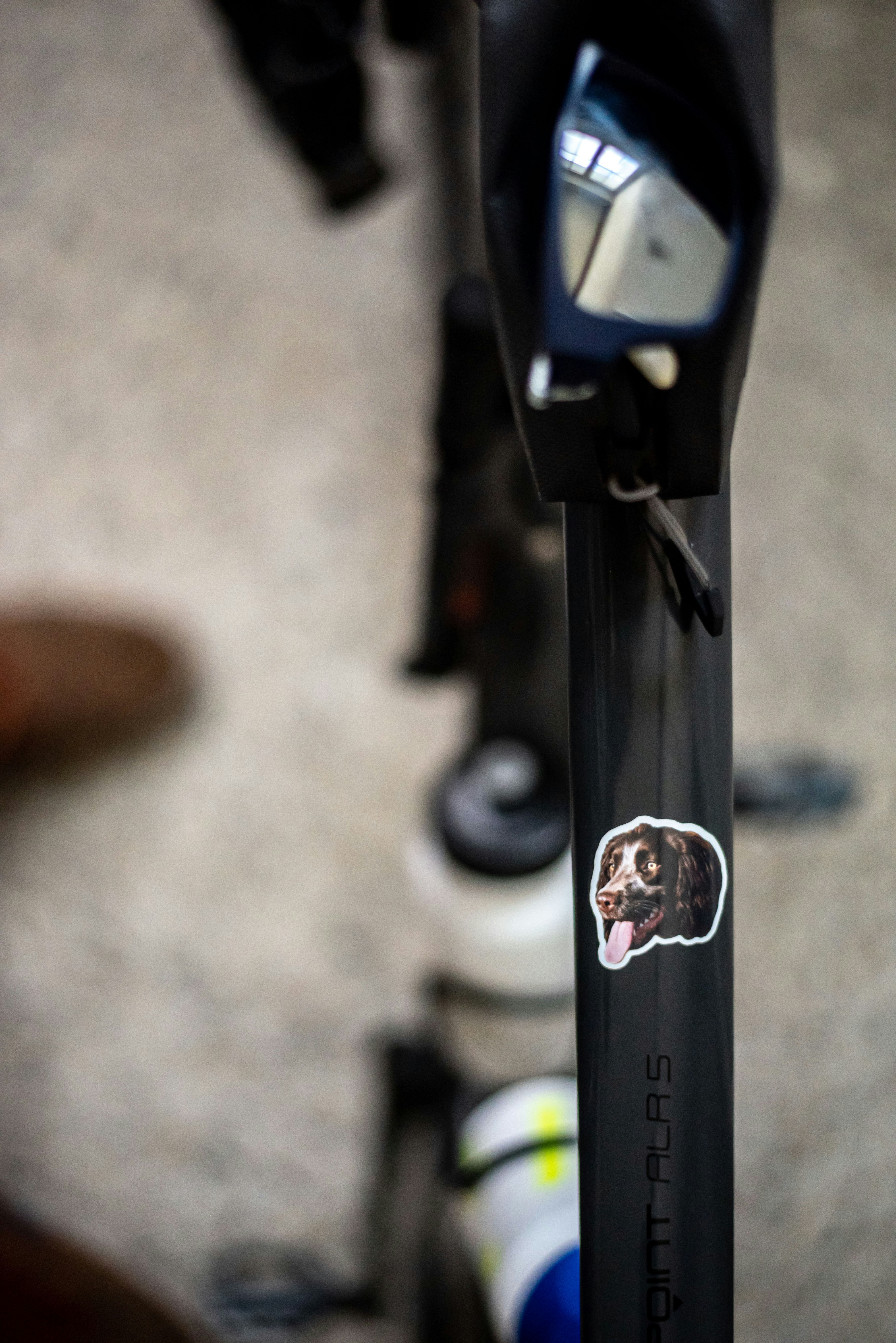 Sticker Pet gallery image