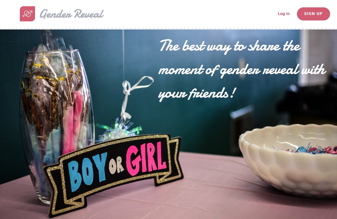 Gender Reveal gallery image