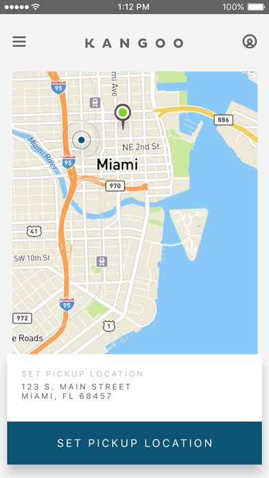 Kangoo gallery image