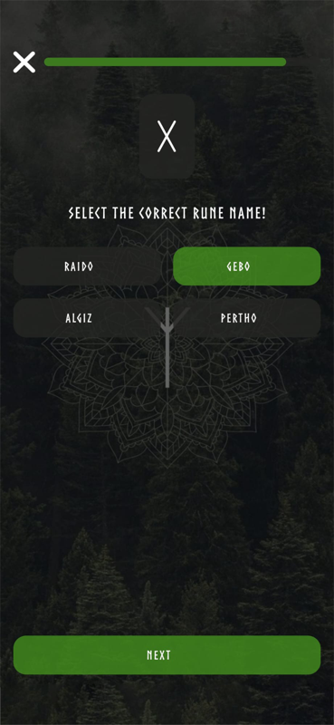Media Jalan Runes - Dapatkan semula Alat Viking Kuno: Runes 8