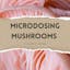 Microdosing Mushrooms: A Simple Guide
