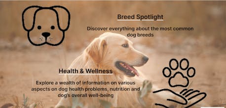 Petzzy gallery image