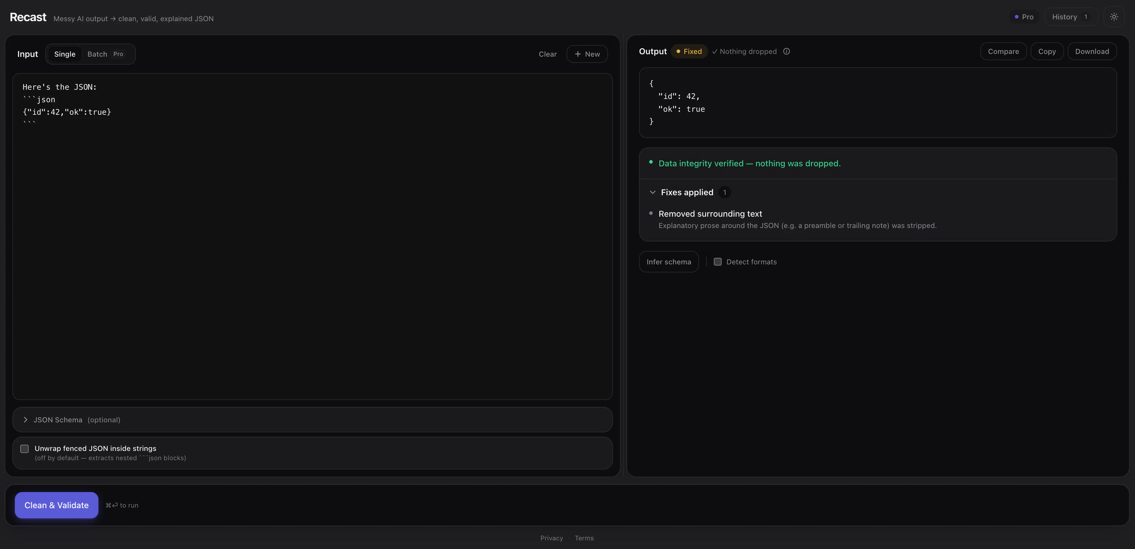 Recast Pro gallery image