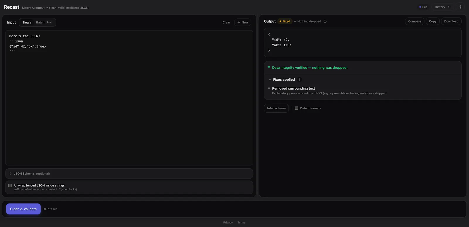 Recast Pro screenshot 1