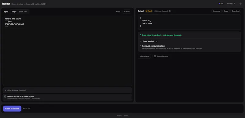 Recast Pro screenshot 1