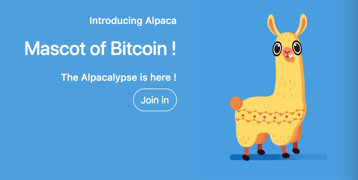 Crypto Alpaca 2.0 gallery image