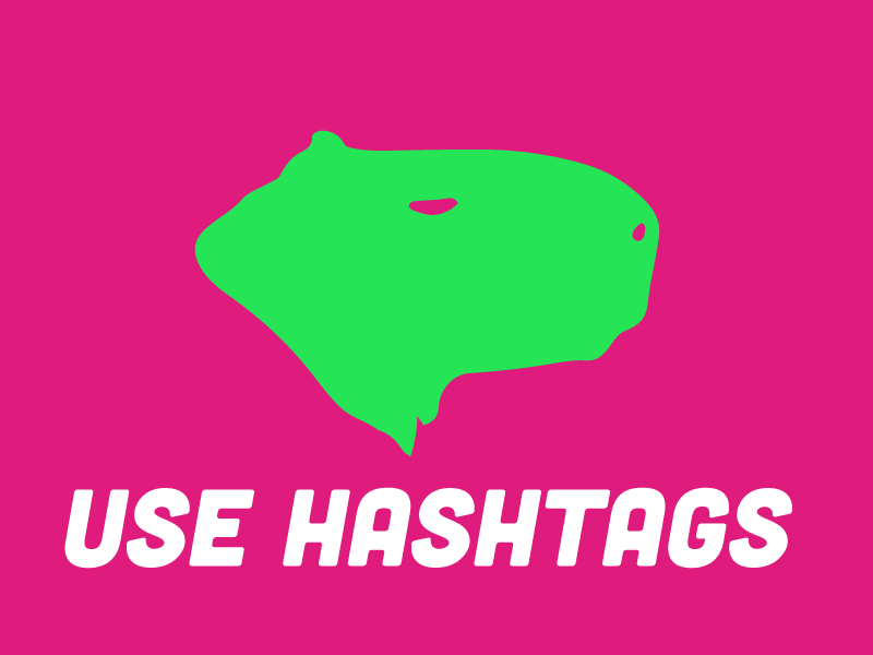 Use Hashtags, a WordPress Plugin gallery image