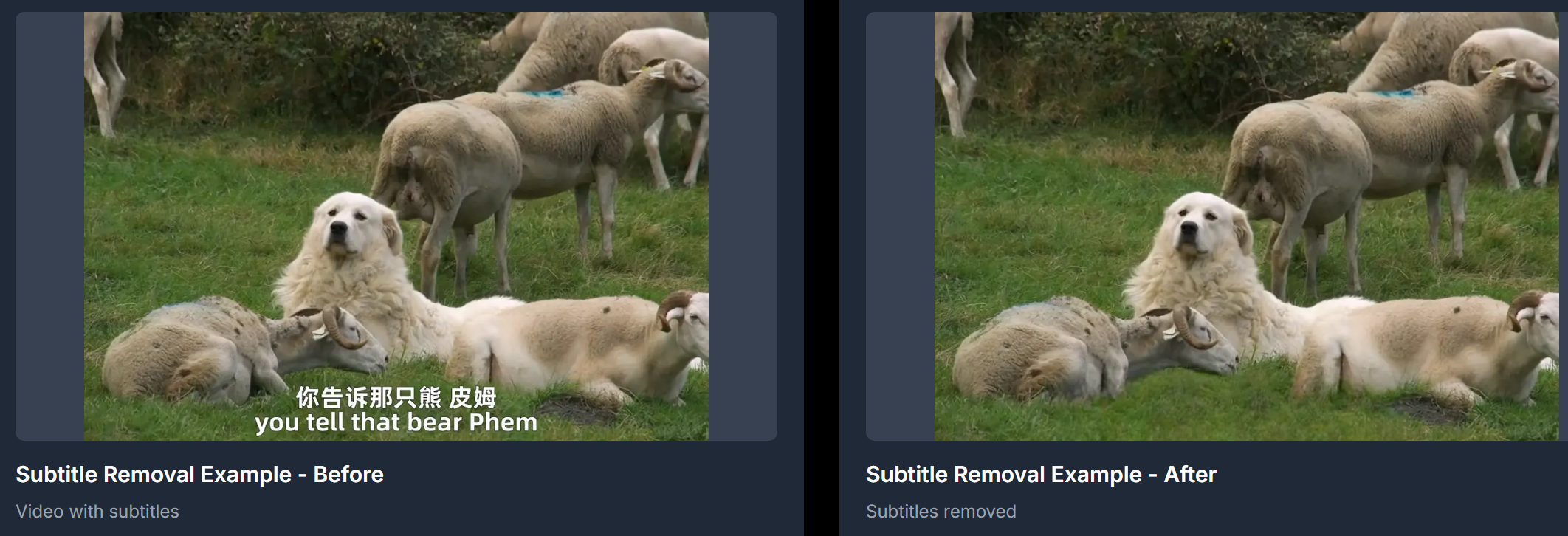 Remove video watermark, logo & subtitle - Screenshot 4 showing product features and functionality