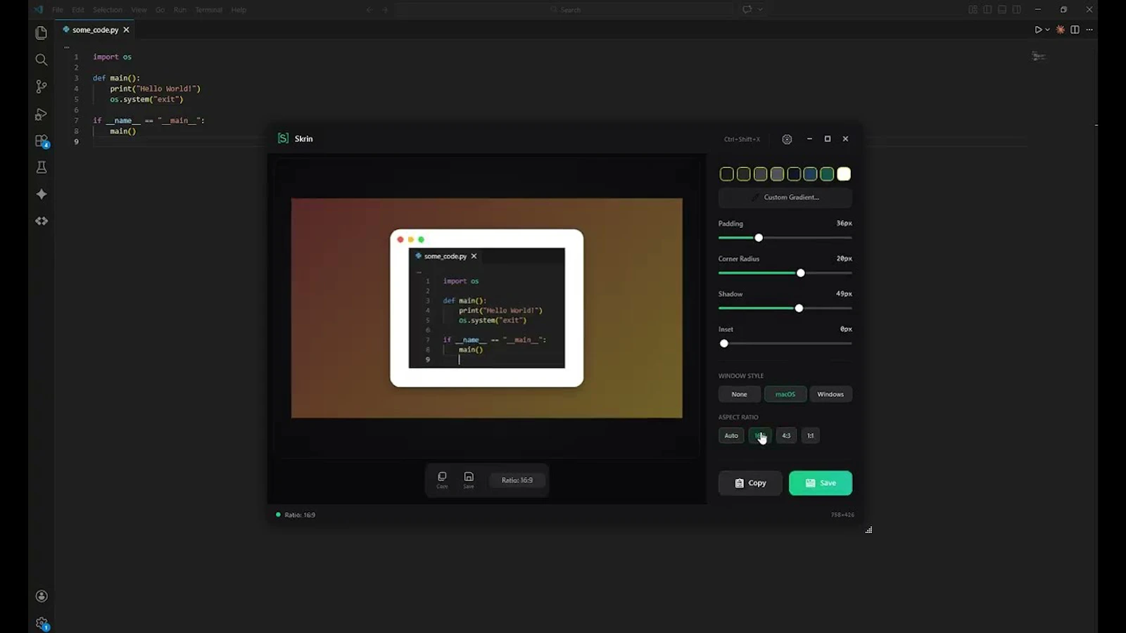 Skrin screenshot 1 (video preview)