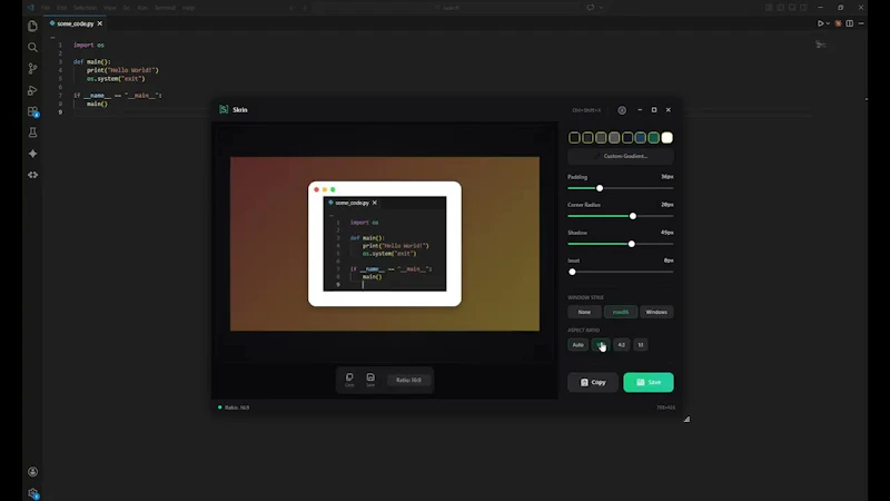 Skrin screenshot 1 (video preview)