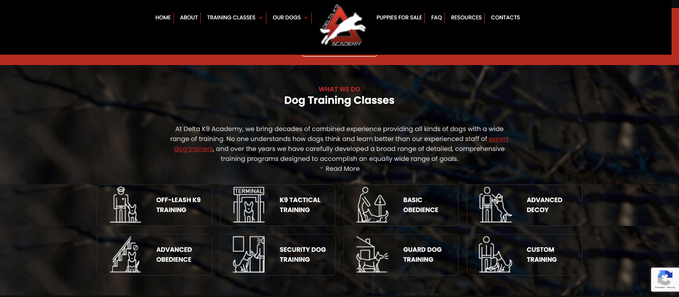 Delta K9 Academy gallery image