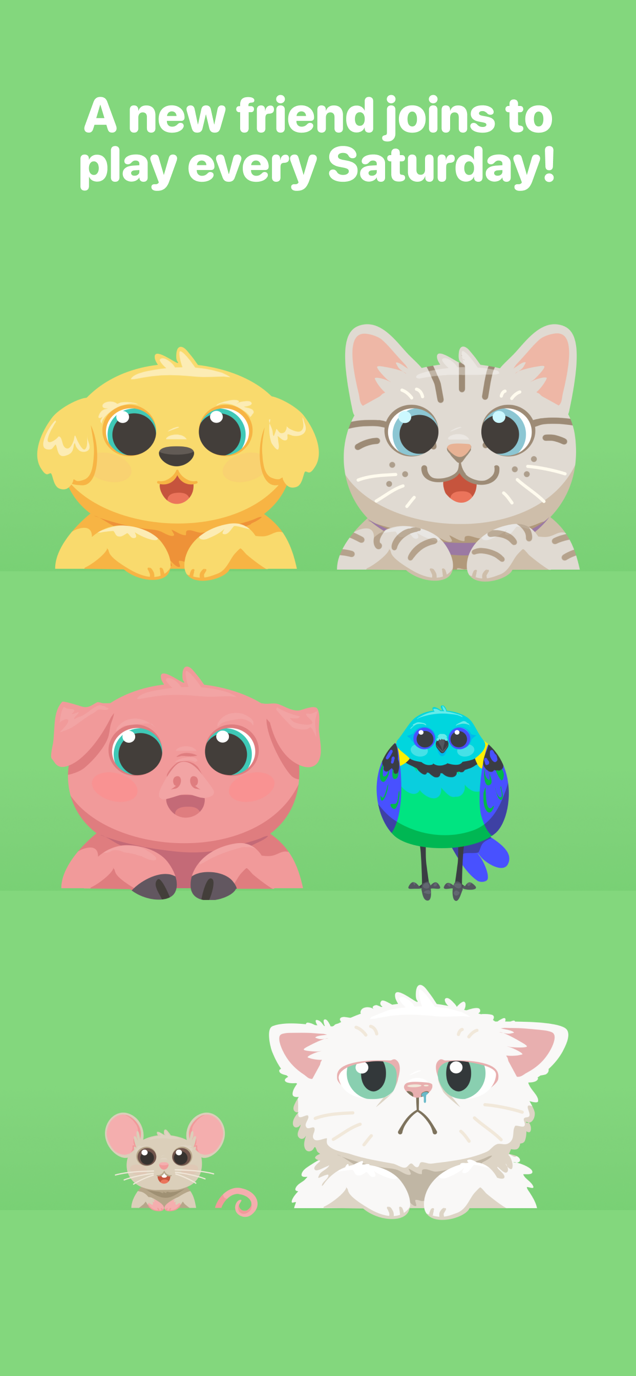 Here Kitty! gallery image