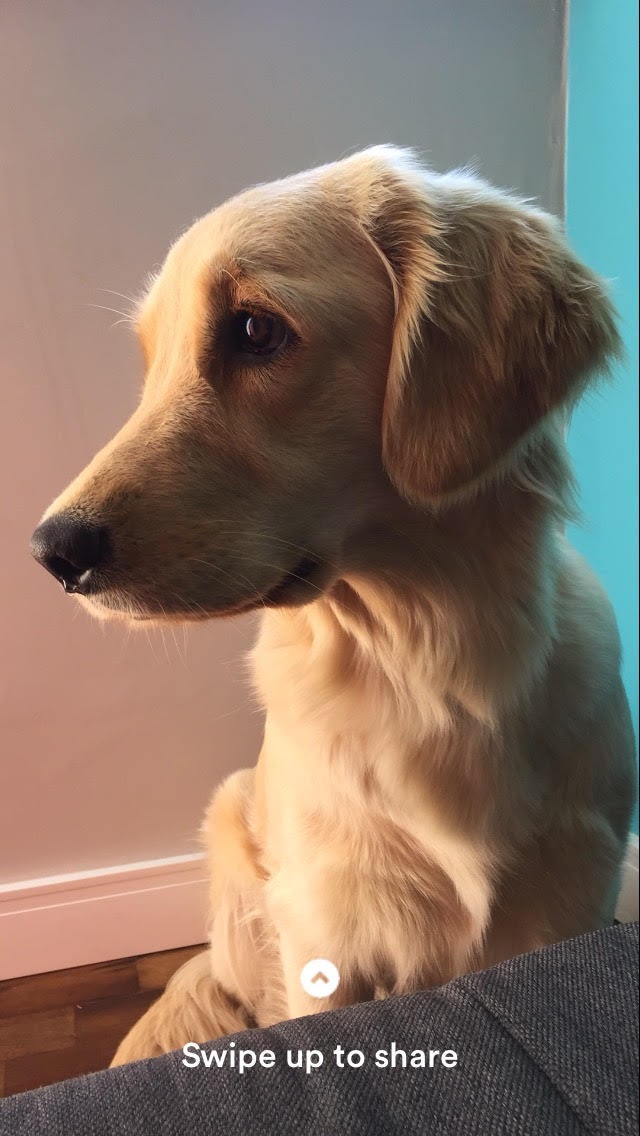 Wagcam 1.5 gallery image