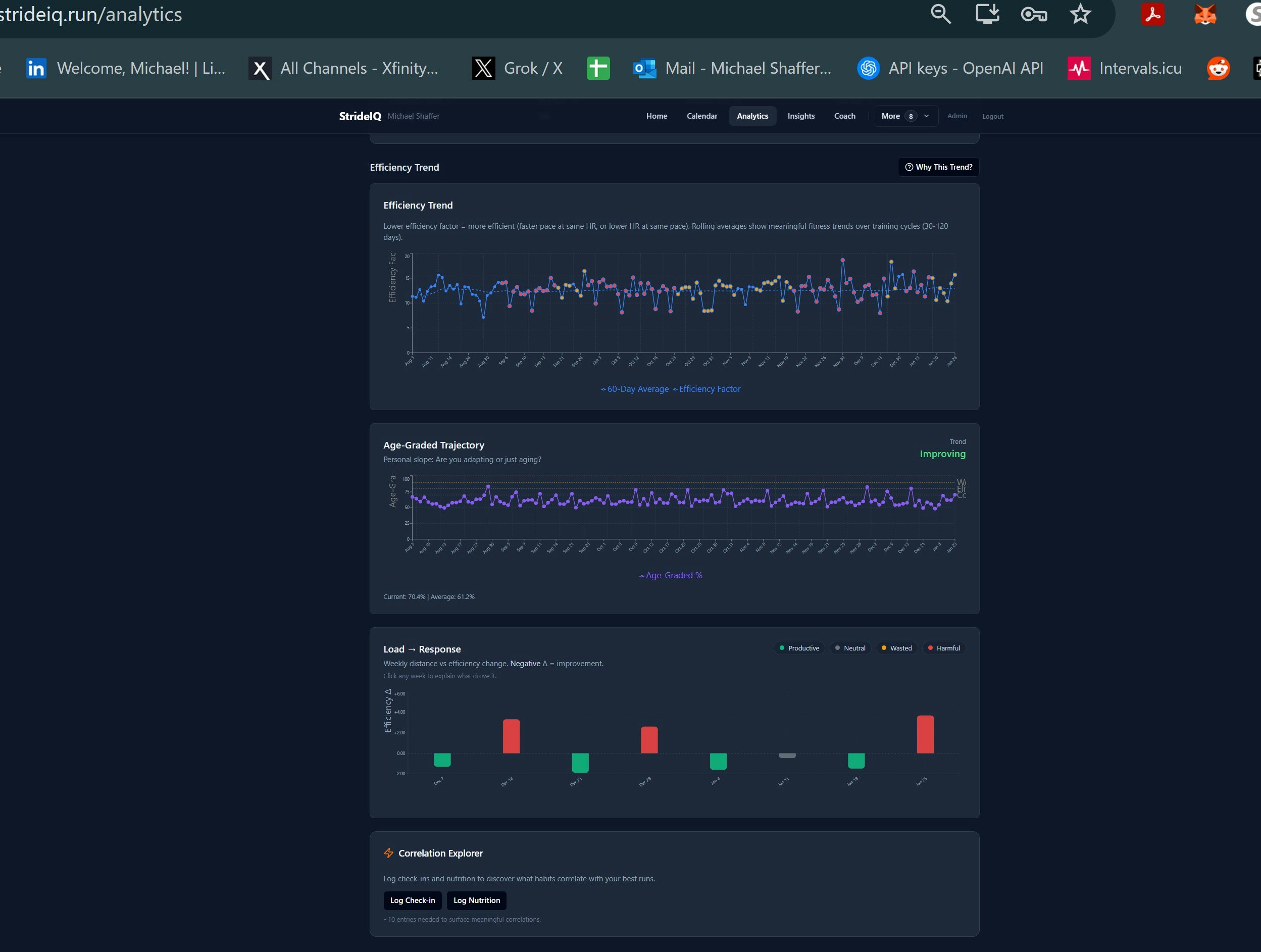 StrideIQ gallery image