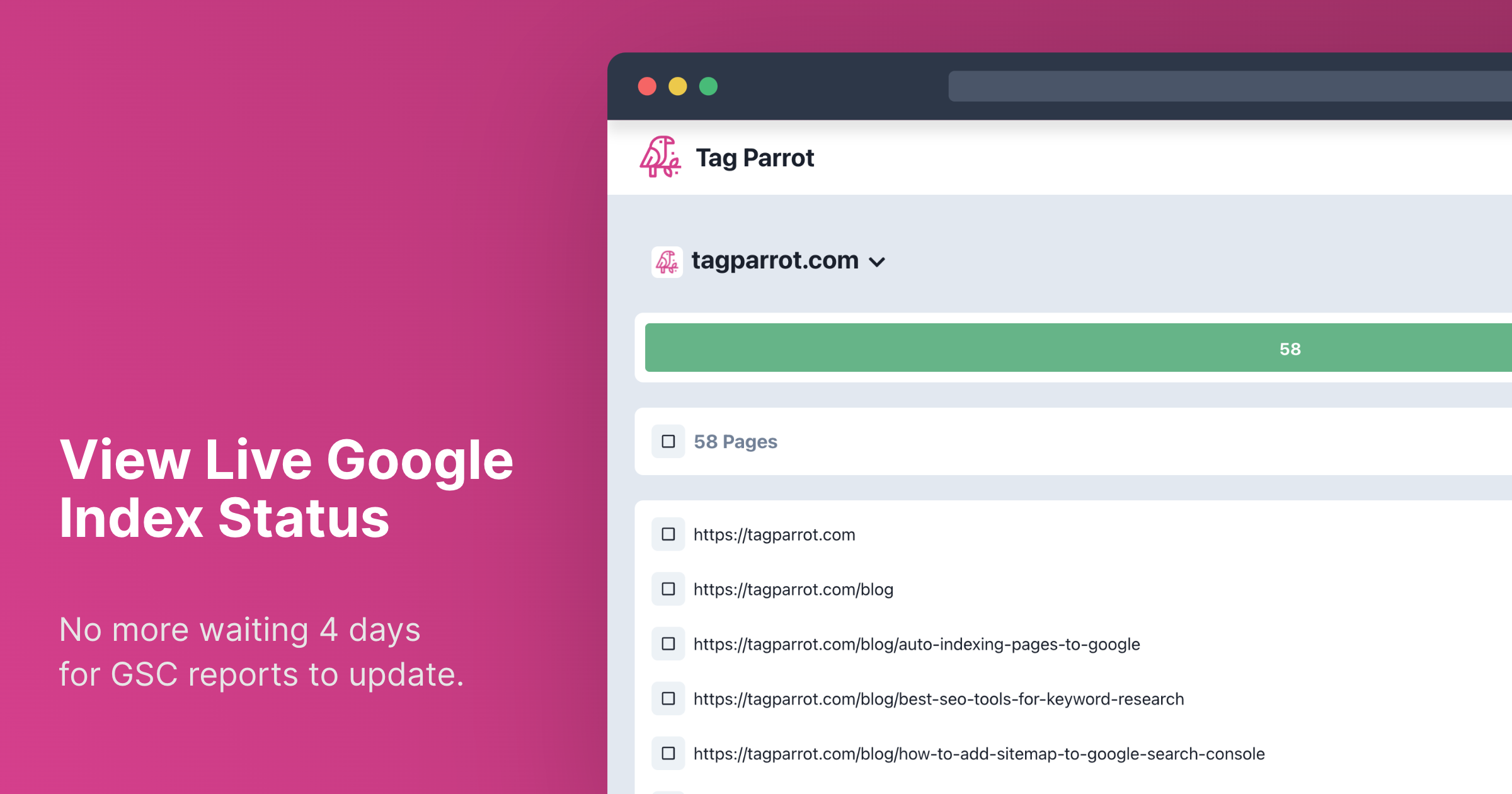 Tag Parrot media 4