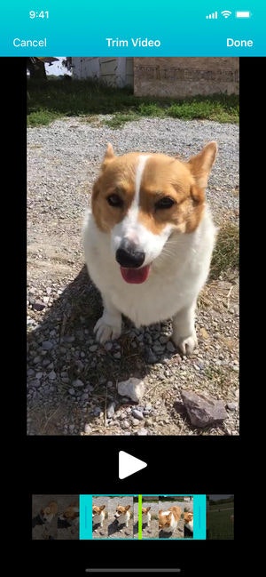 Snapthread gallery image