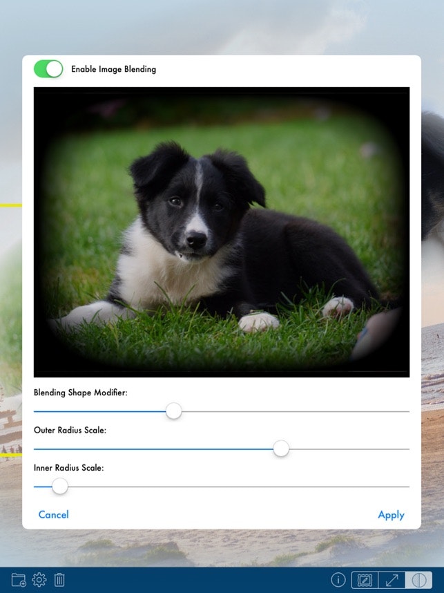 PhotoTangler Collage Maker gallery image