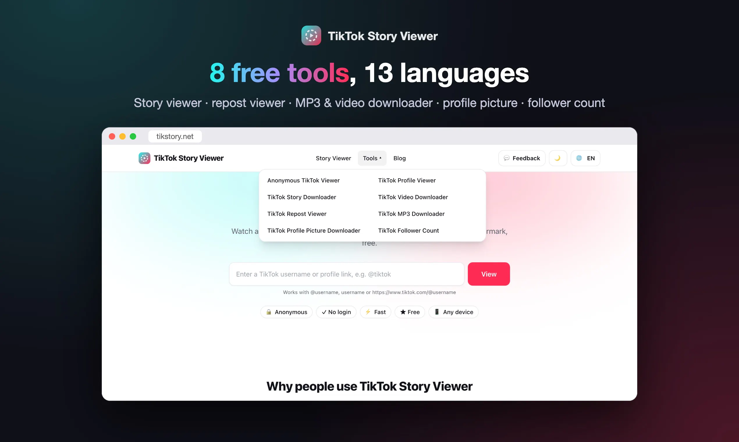 TikTok Story Viewer gallery image