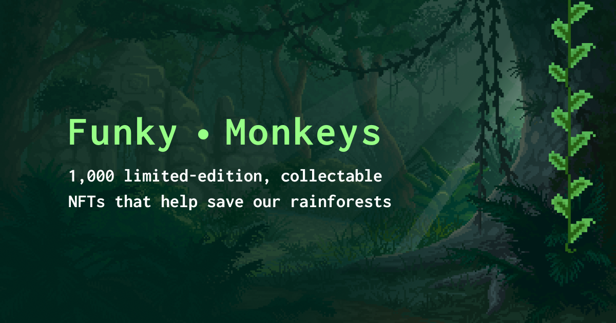 Funky Monkey NFTs gallery image