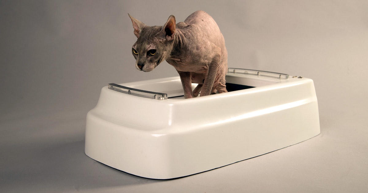 Catolet gallery image