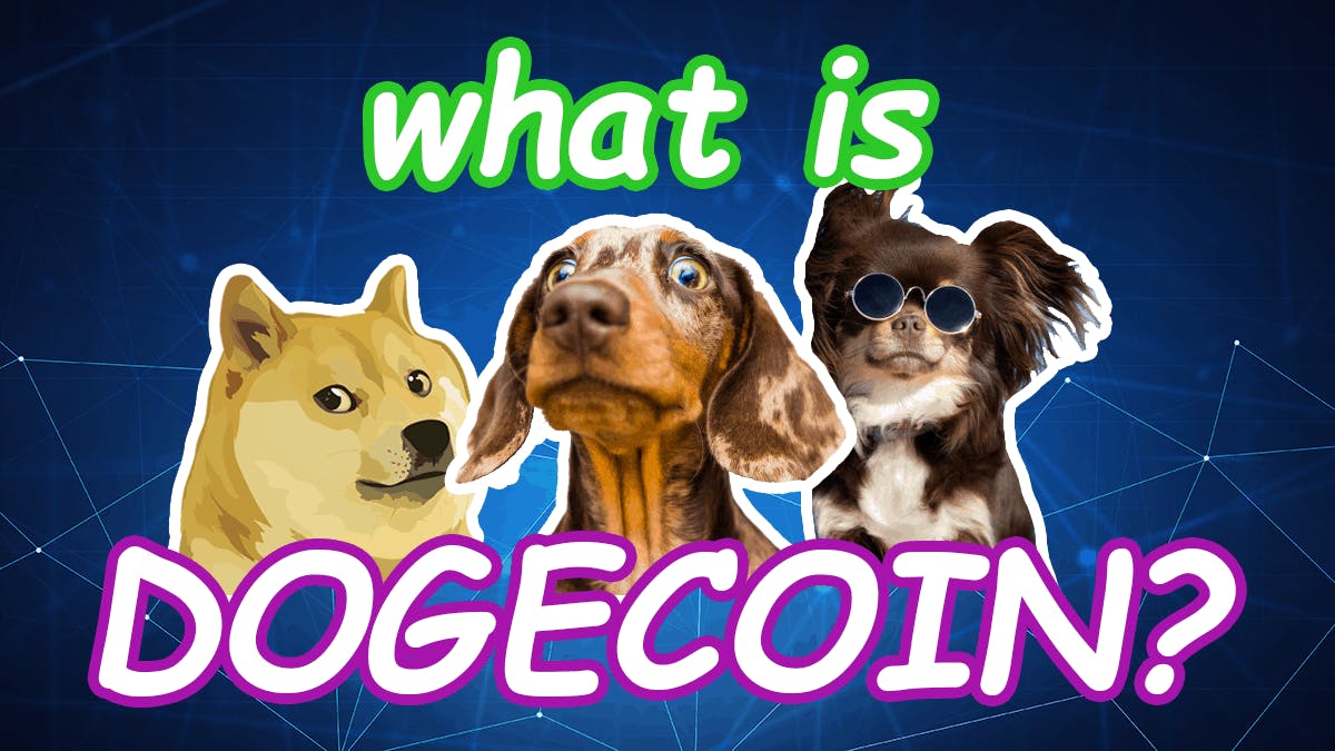 The Ultimate DOGE Guide media 1