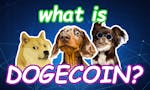 The Ultimate DOGE Guide image