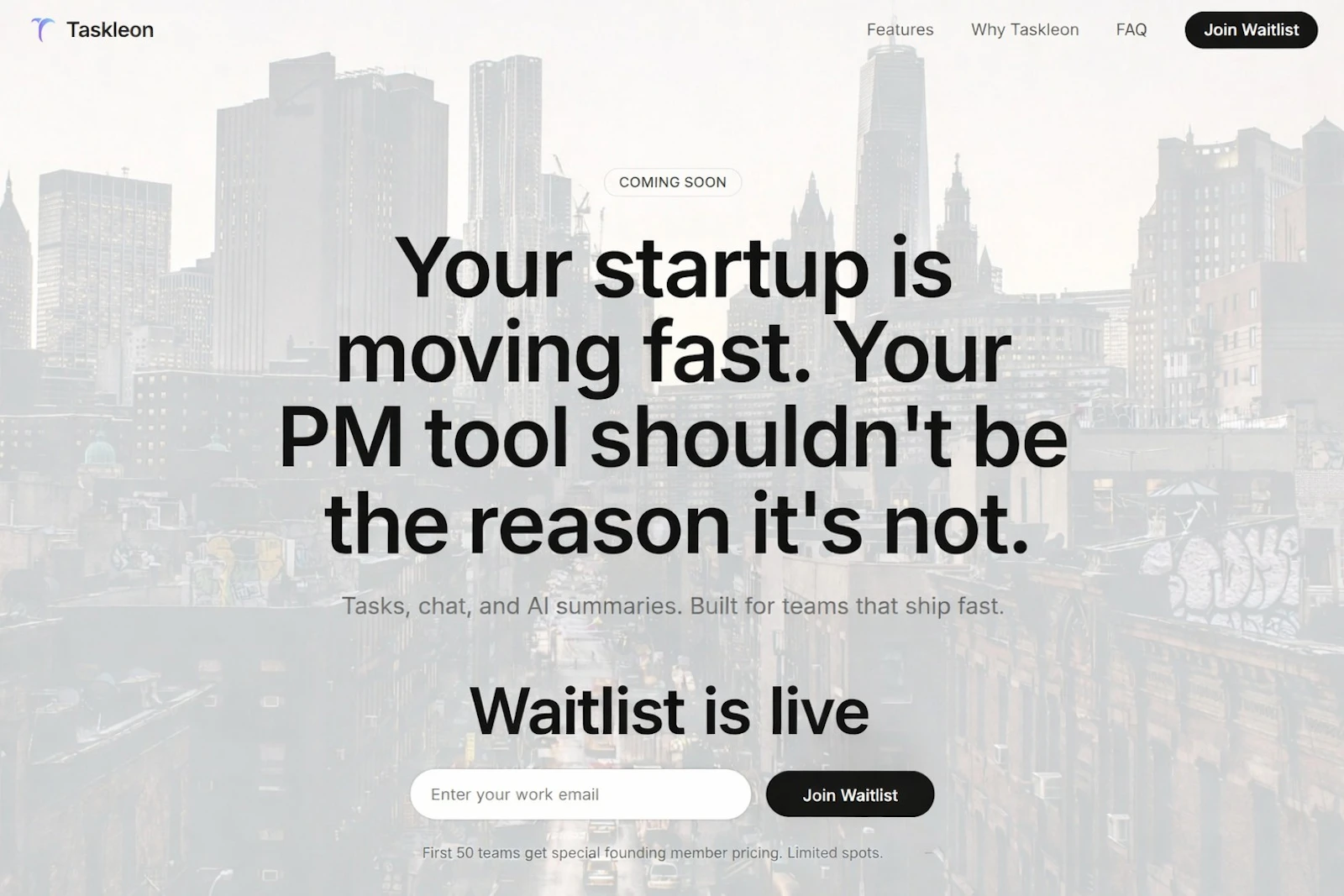 Taskleon screenshot 2