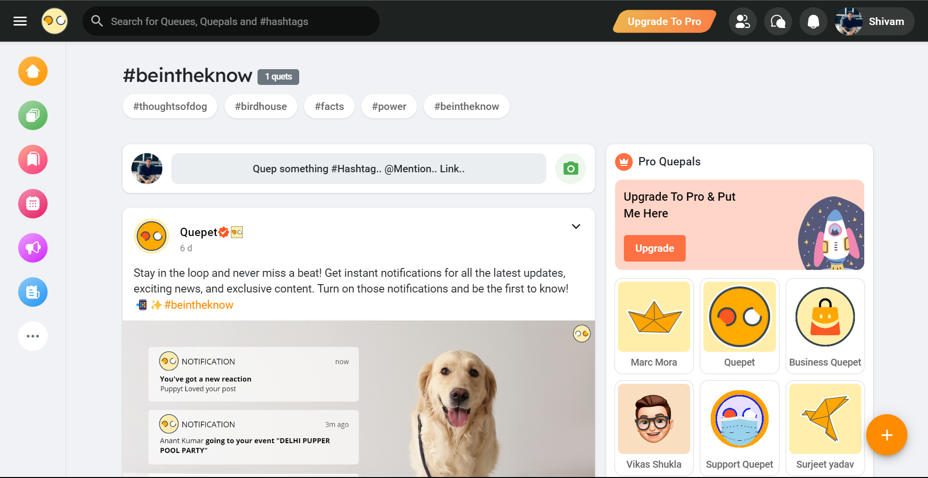 Que.Pet - สังคม Pawsitively media 3
