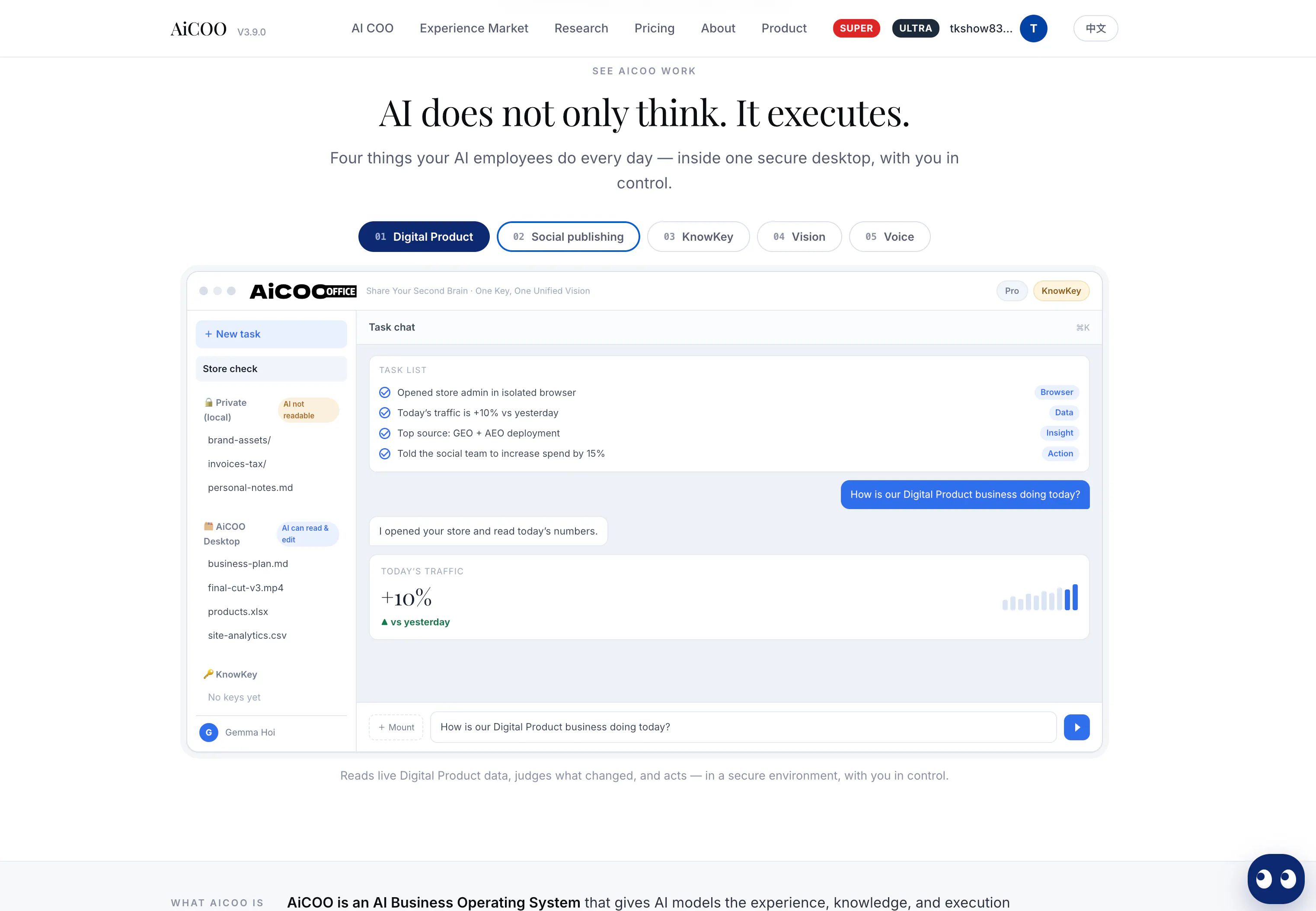 AiCOO gallery image