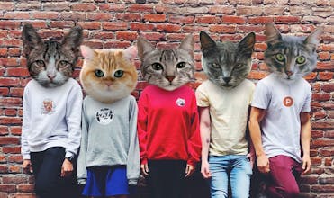 Product Hunt Shop gallery image