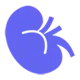 eGFR Calculator